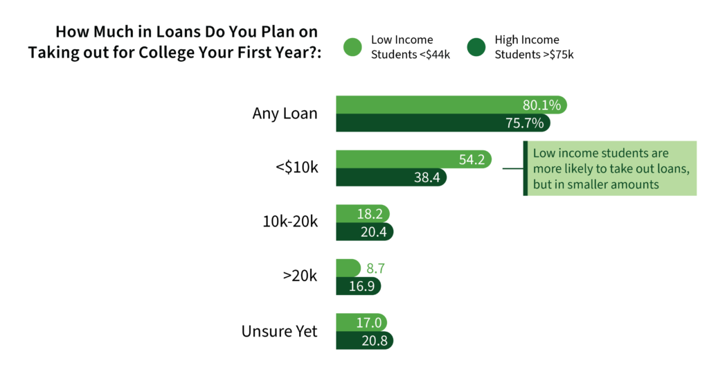 Low income students are more likely to take out loans, but in smaller amounts.
