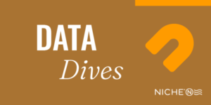 Niche Data Dives