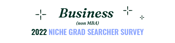 Non-MBA Business Programs